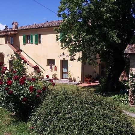 A Casa Di Lizzy B&B Monte Lopio エクステリア 写真